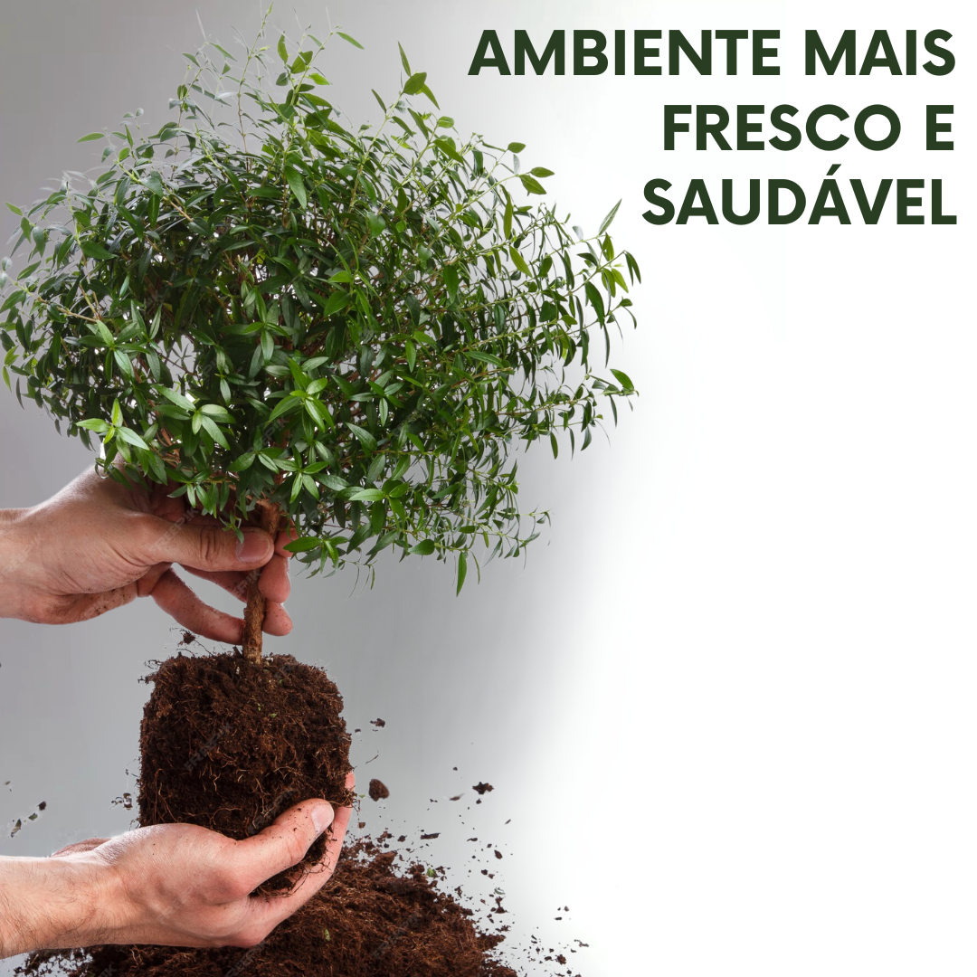 HariTree: Planta purificadora dos Himalaias