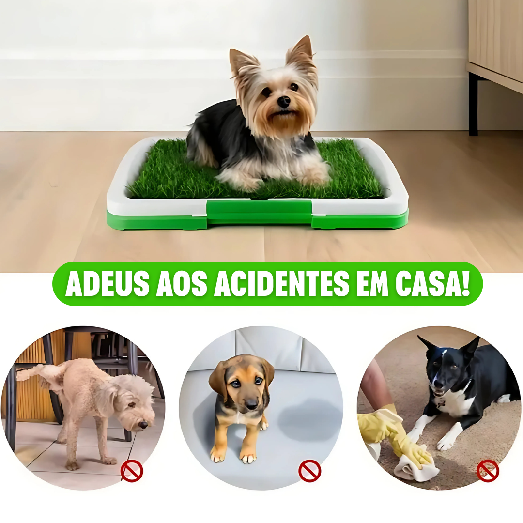 Pee Pad: Tapete sanitário para cães