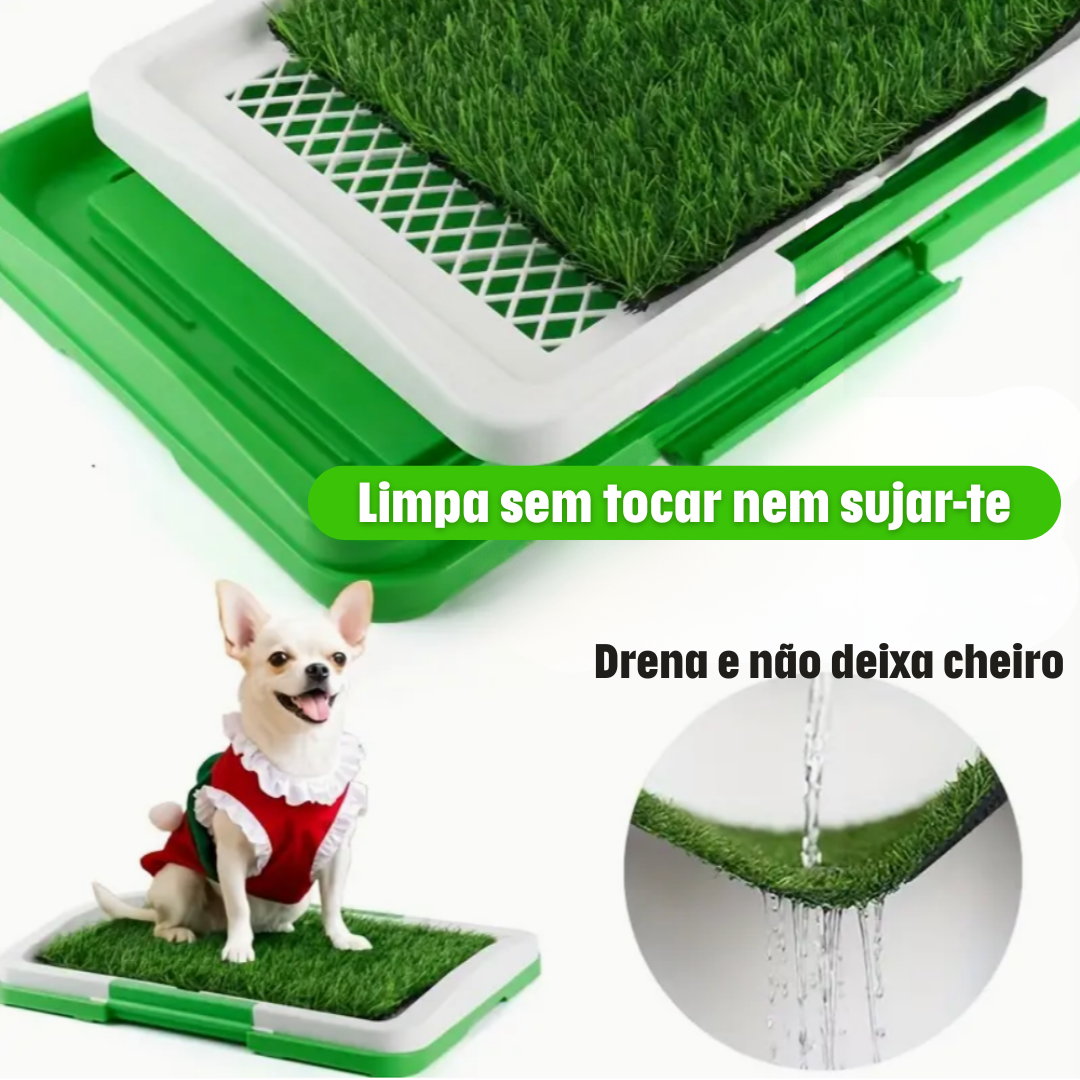 Pee Pad: Tapete sanitário para cães
