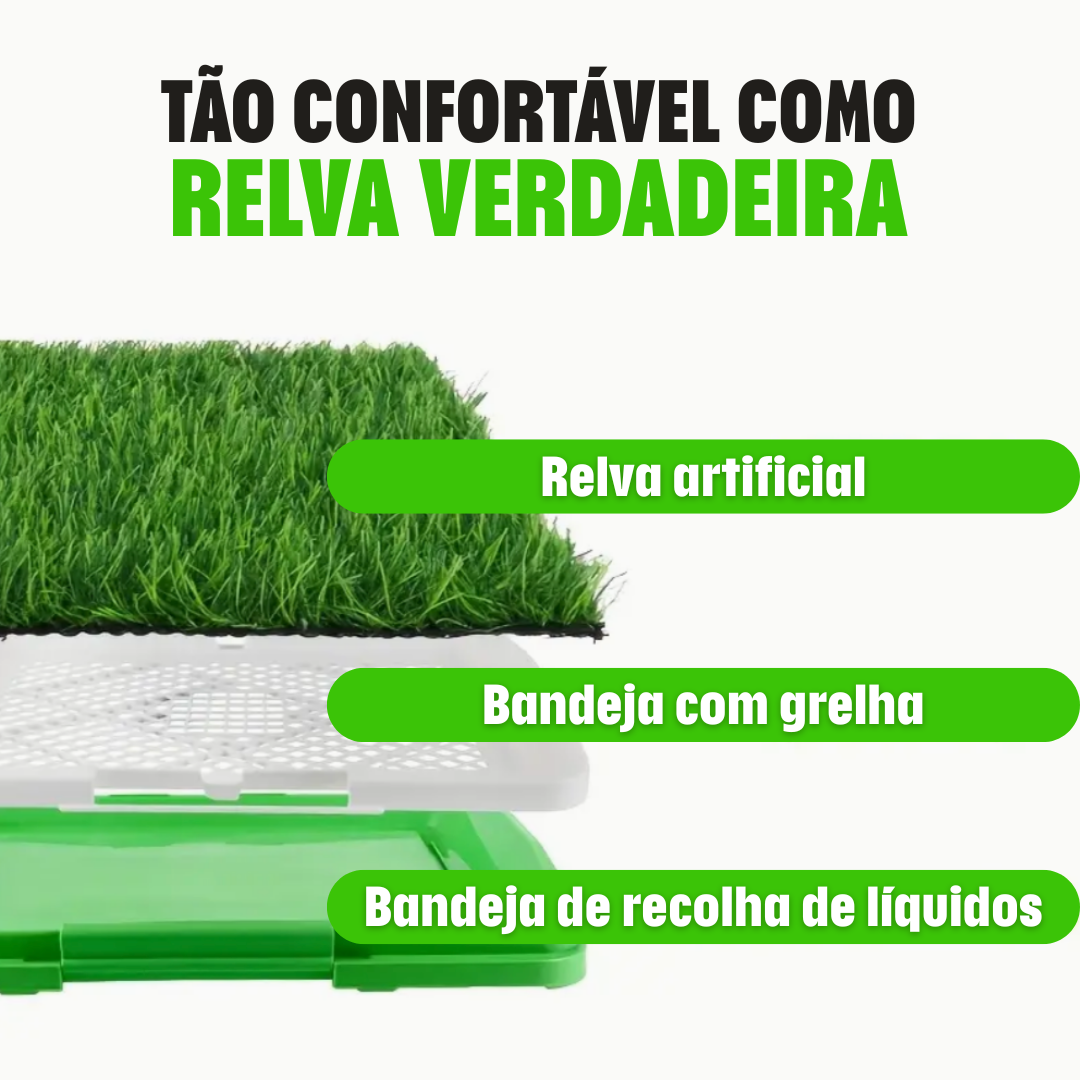 Pee Pad: Tapete sanitário para cães