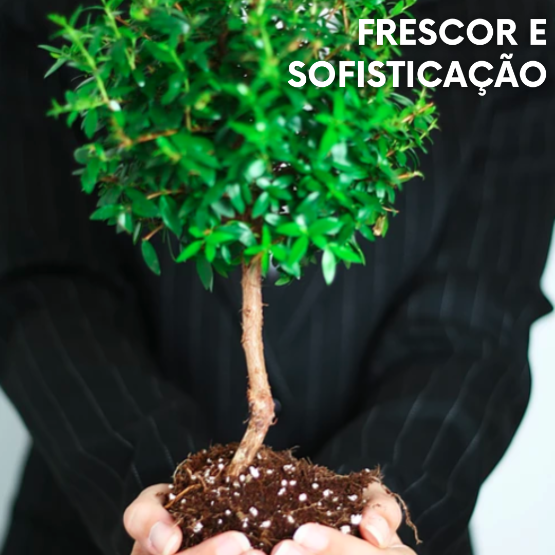 HariTree: Planta purificadora dos Himalaias