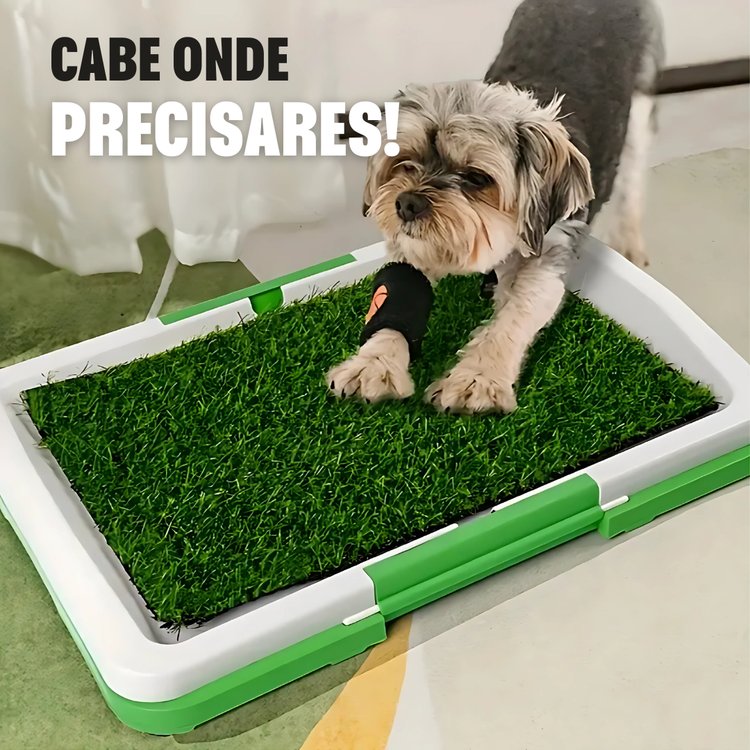 Pee Pad: Tapete sanitário para cães