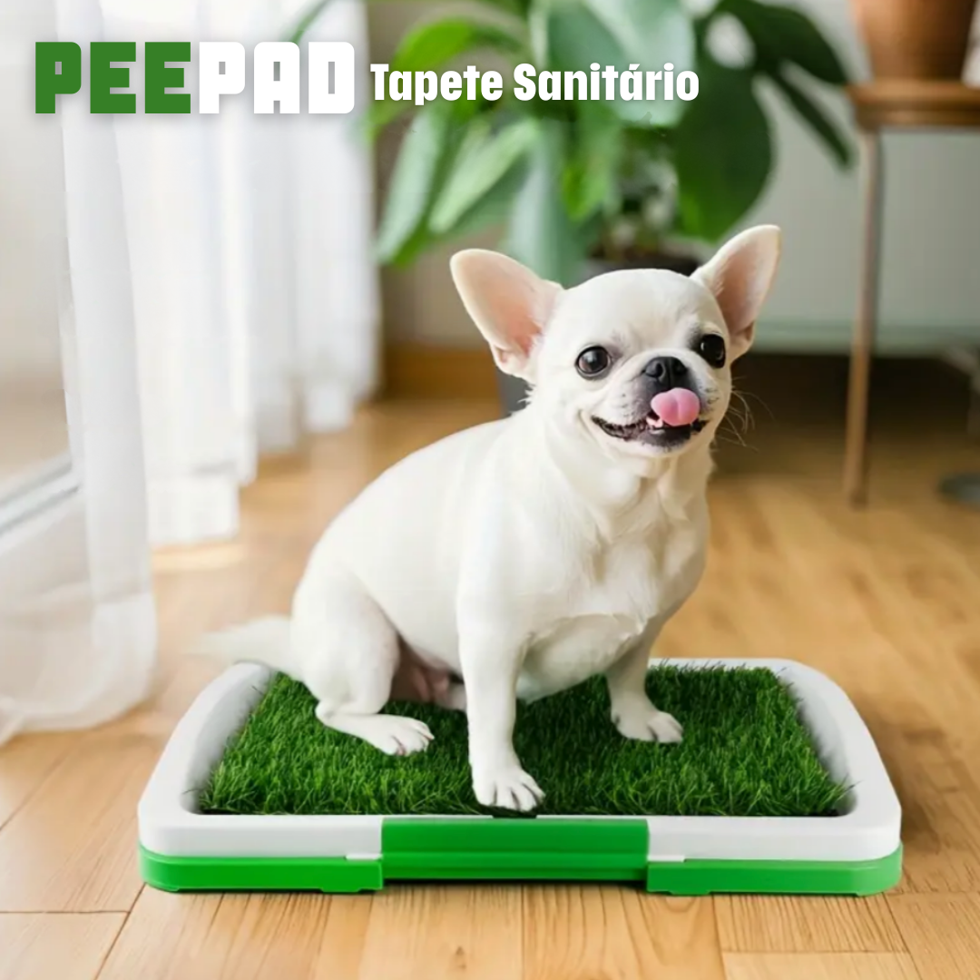 Pee Pad: Tapete sanitário para cães
