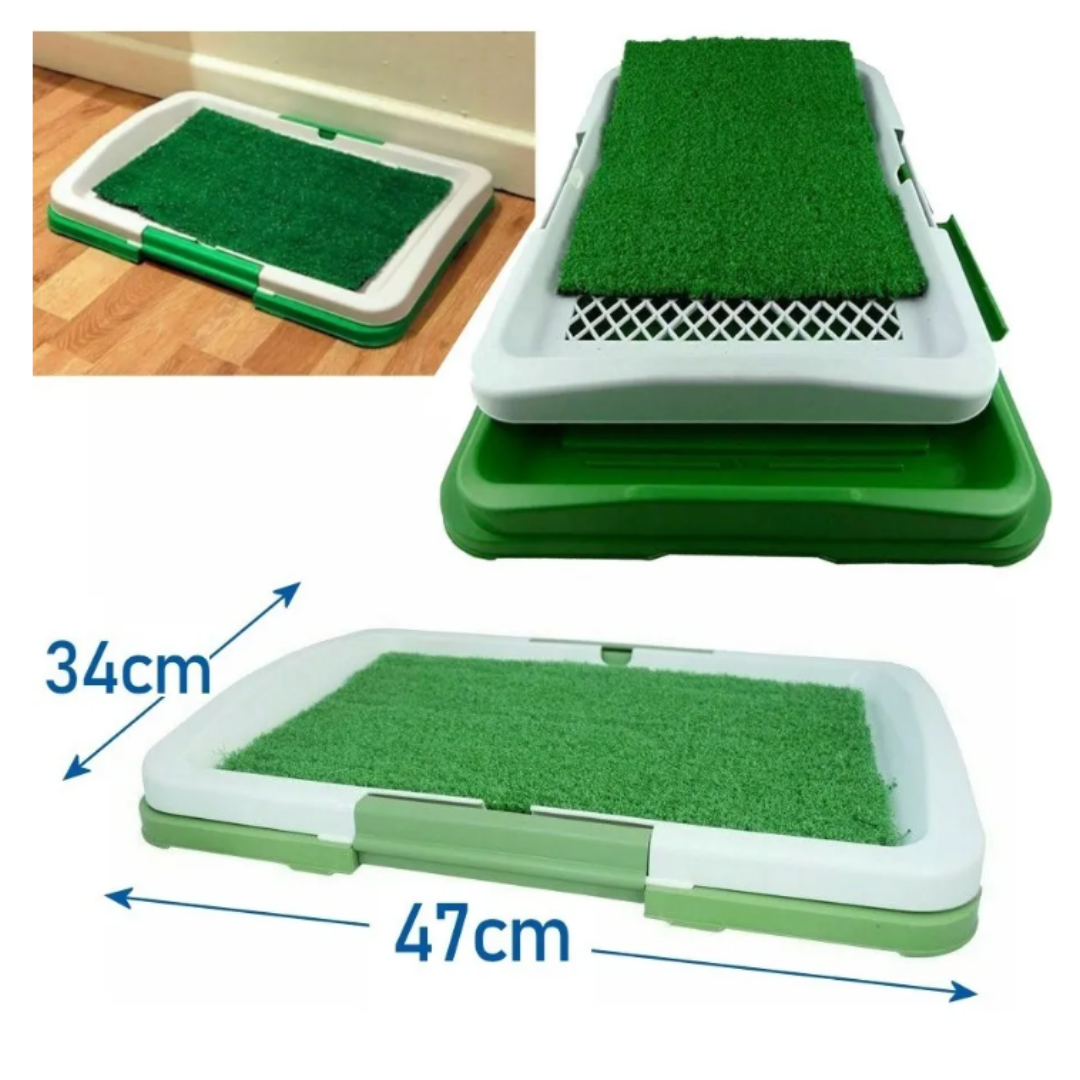 Pee Pad: Tapete sanitário para cães