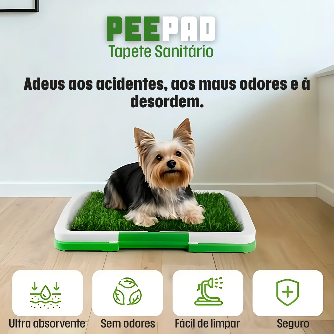 Pee Pad: Tapete sanitário para cães