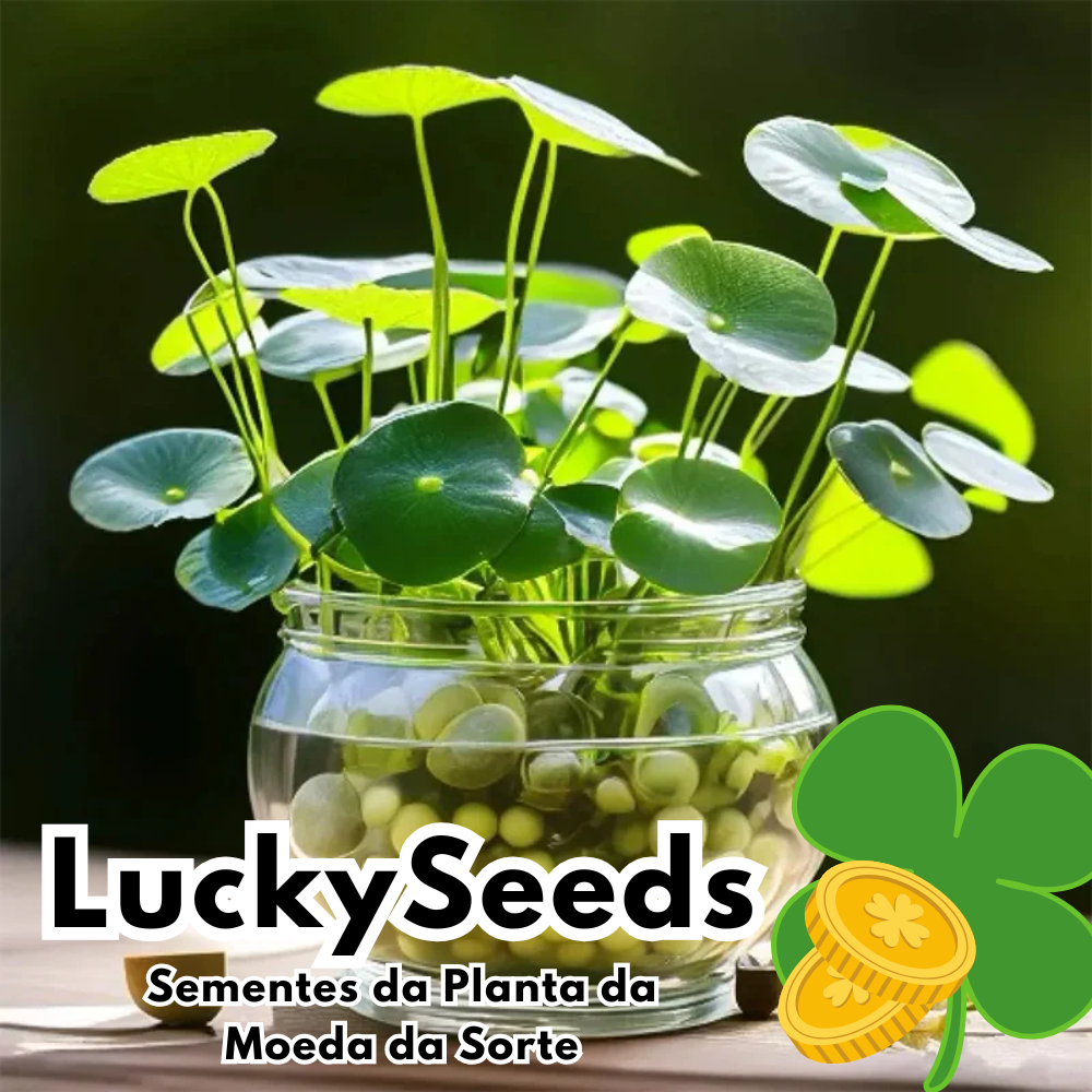 LuckySeeds™ | Sementes da Planta da Moeda da Sorte