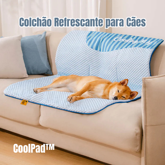 CoolPad™ | Colchão Refrescante para Cães