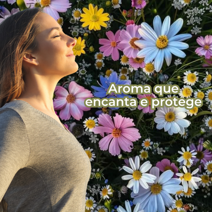 Anthea: Sementes de Pelitre - Repelente de insetos